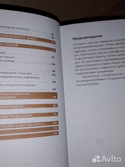 Сандермоен Ш. Организационная структура