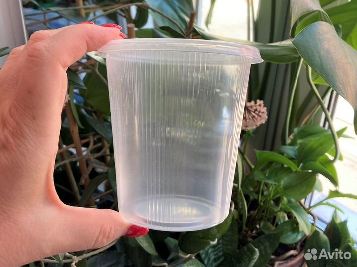 Контейнеры с крышкой (от 5р)