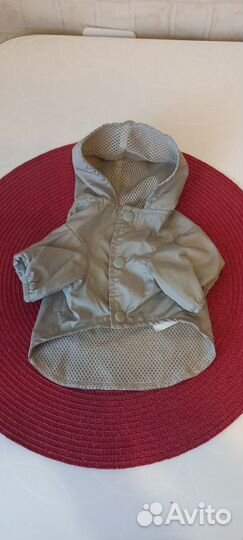 Одежда для маленьких собак бу