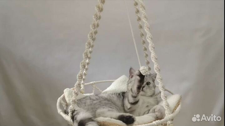 Подвесная лежанка для кошек