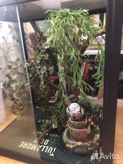 Вертикальный террариум repti zoo для рептлий