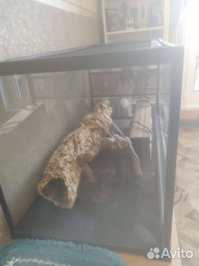 Террариум для рептилий бу