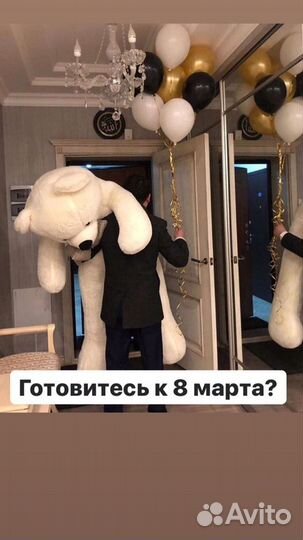 Медведь белый