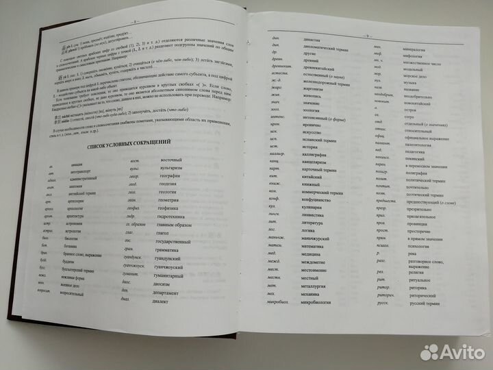 Китайско-русский и русско-китайский словарь