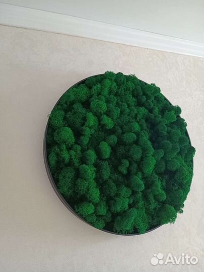 Панно интерьерное из стабилизированного мха