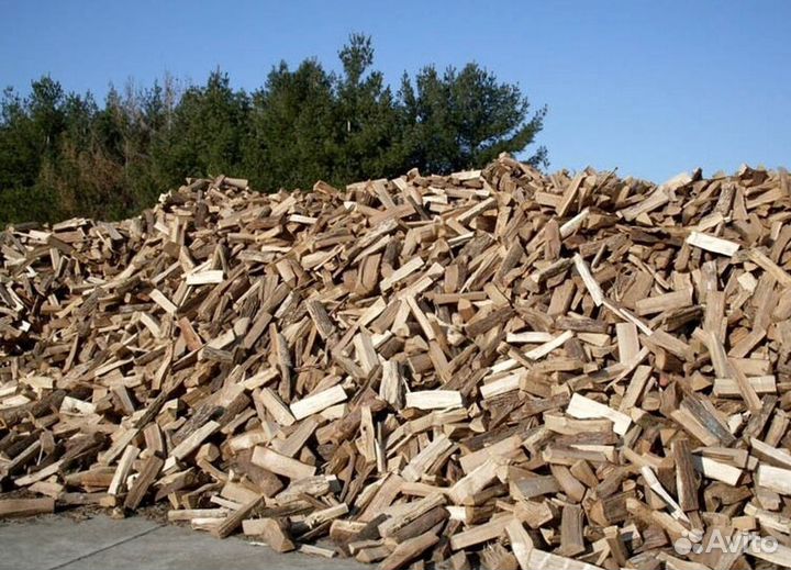 Дрова со Всеволожска