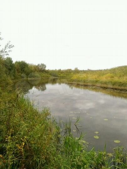 Участок 10 сот. (ИЖС)