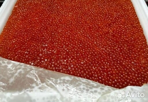 Красная икра нерка улов 23 года