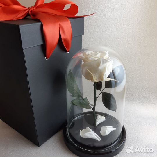 Роза в колбе