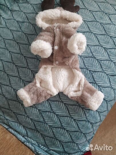 Зимний комбинезон для маленькой собаки