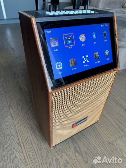 Колонка с караоке новая