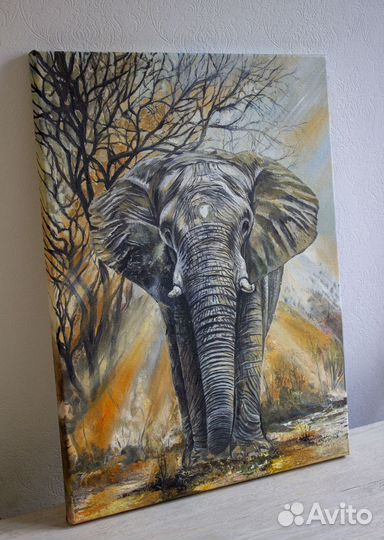 Картина Слон интерьерная картина Африка