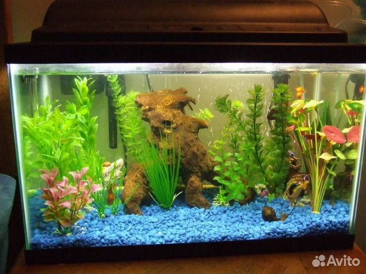 Аквариум с помпой