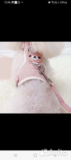 Шлейка с поводком