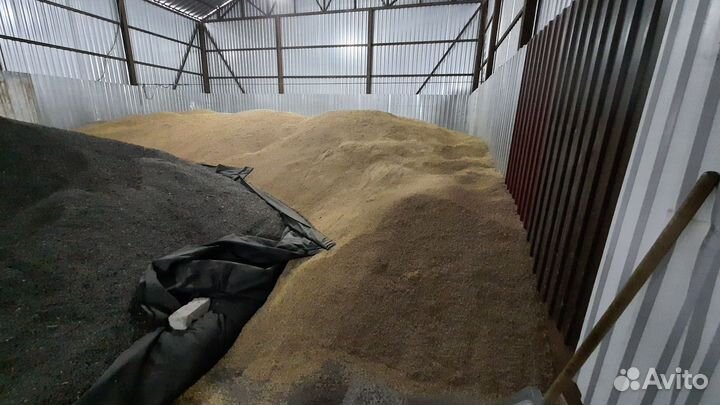 Зерно ячмень и сено