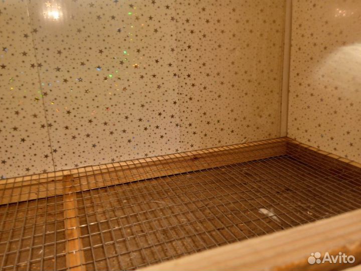 Брудер для цыплят