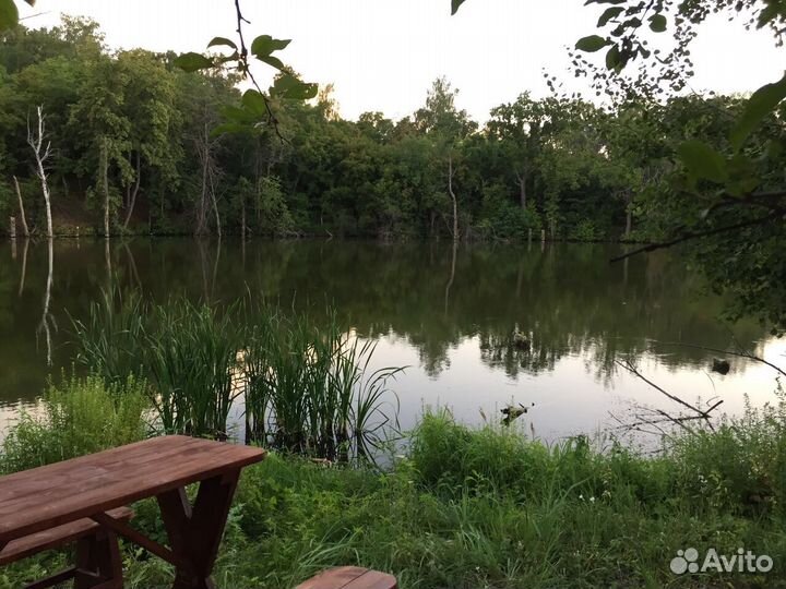 Отдых и рыбалка