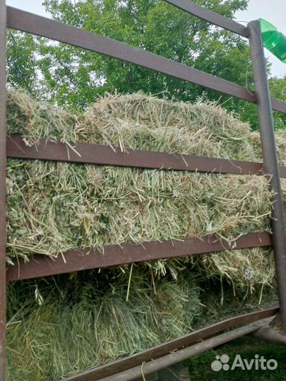 Сено люцерна, под заказ