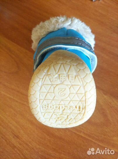 Обувь для собаки