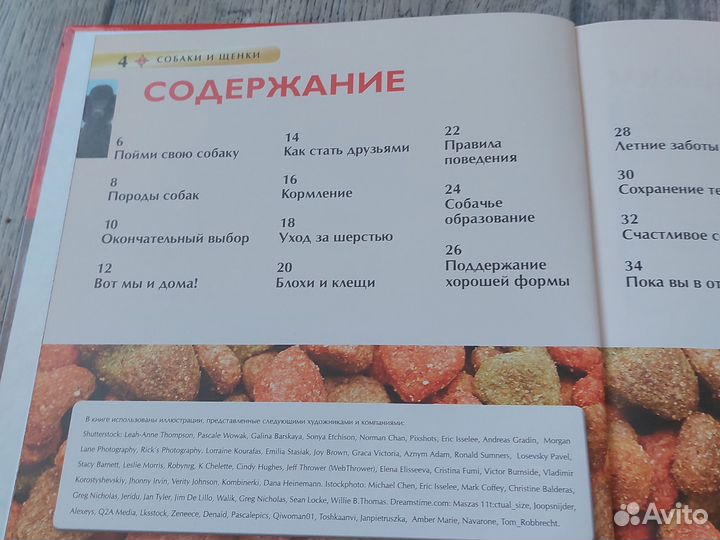 Детская энциклопедия собаки и щенки