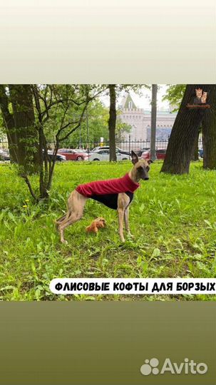 Кофты для собак