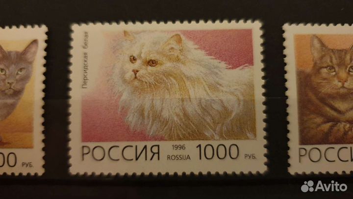 1996, марки РФ Домашние кошки. комплект