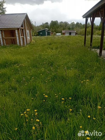 Покос травы, кустарника