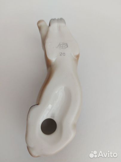 Дикий кабан лфз