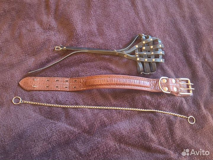 Ошейник для булли и крупных собак комплект