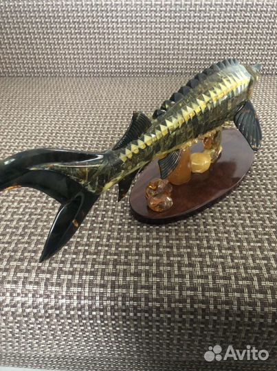 Янтарный Осётр