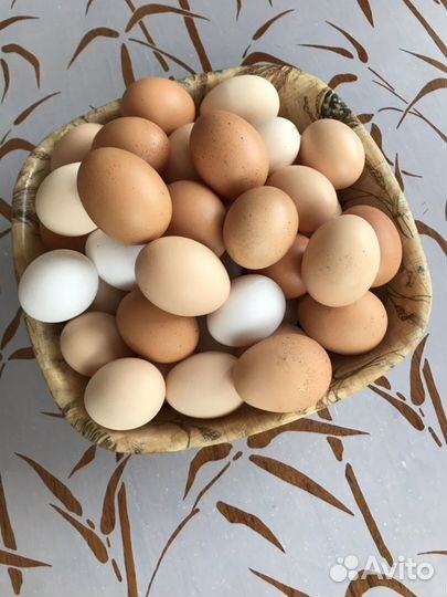 Домашние куриные яйца