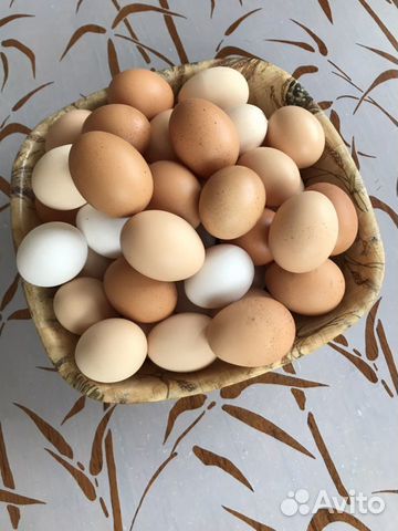 Домашние куриные яйца