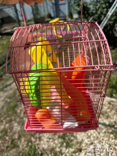 Клетка для птиц