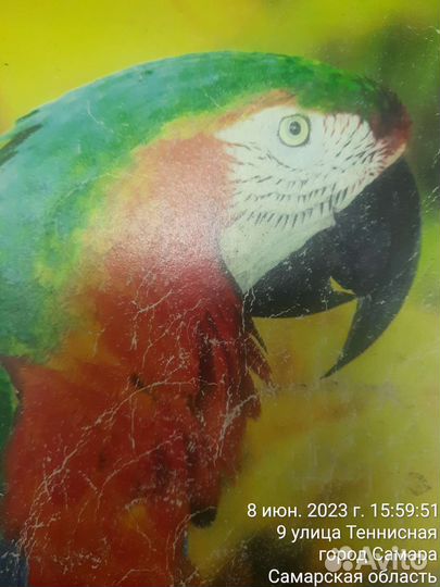 Большая клетка для птиц