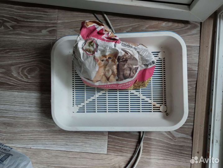 Кошачий лоток