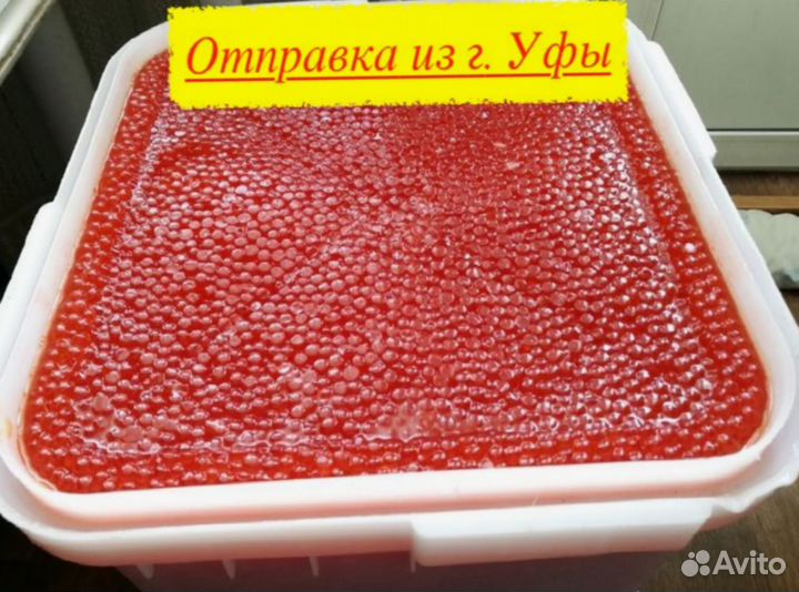 Икра