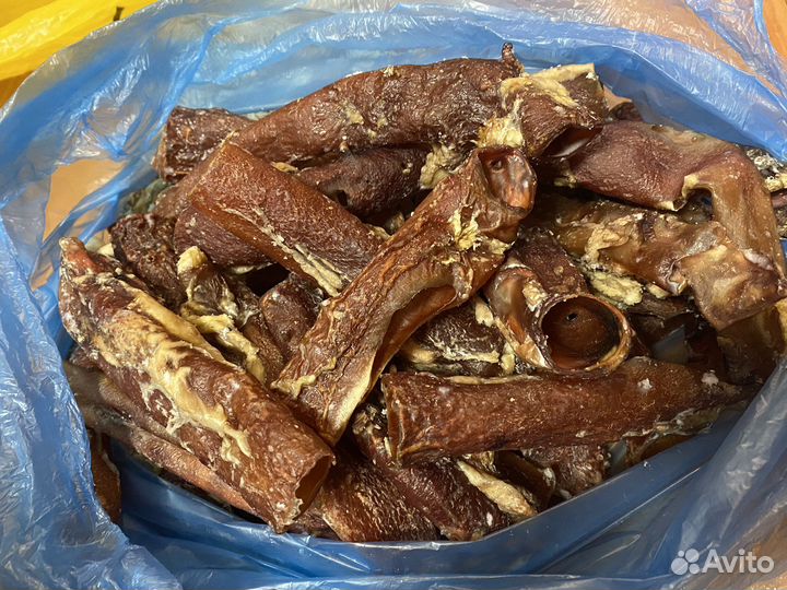 Собачий корм аорта и вымя говяжье