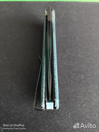 Petrified fish Белуга