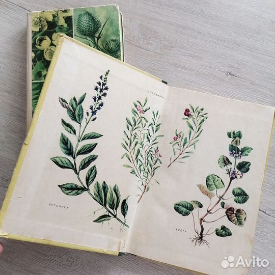 Книги Лекарственные растения