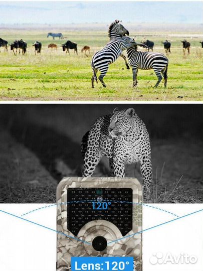 Наружная камера наблюдения за охотой, фотоловушка