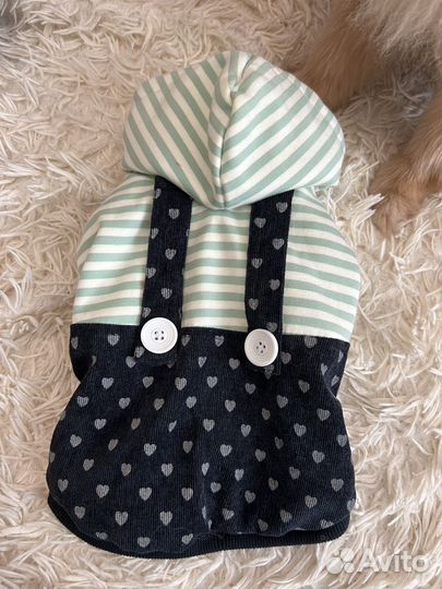 Одежда на собаку