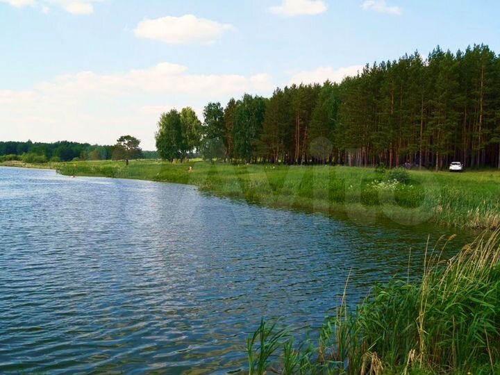 Участок 15,4 сот. (СНТ, ДНП)