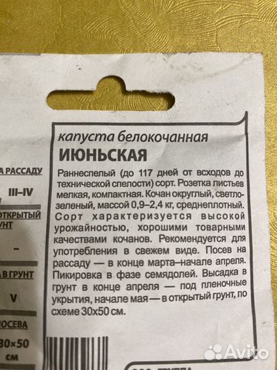 Рассада капусты