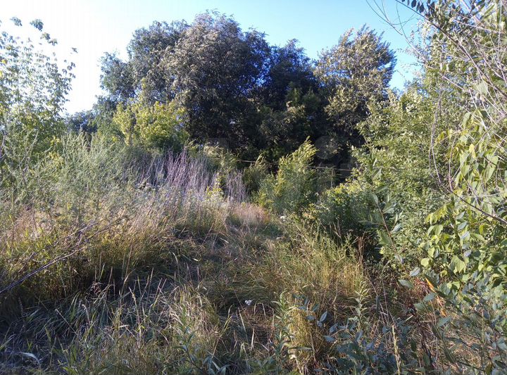 Участок 8 сот. (ИЖС)