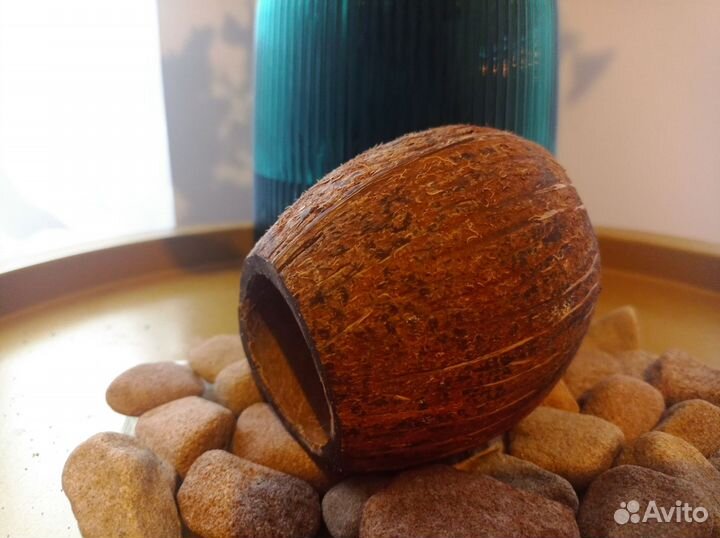 Домик для рептилий, декорация для аквариума