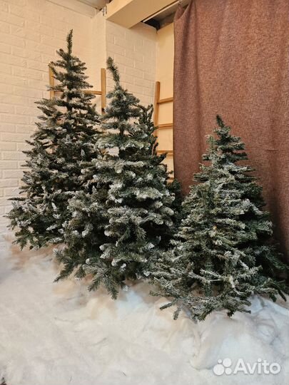 Аренда фотостудии.Фотозона Кабинет, Акцент, Япония