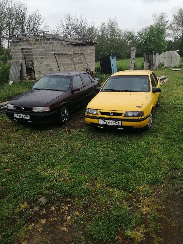 Opel Vectra: фото владельца