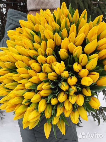 Тюльпаны опт, Брянск