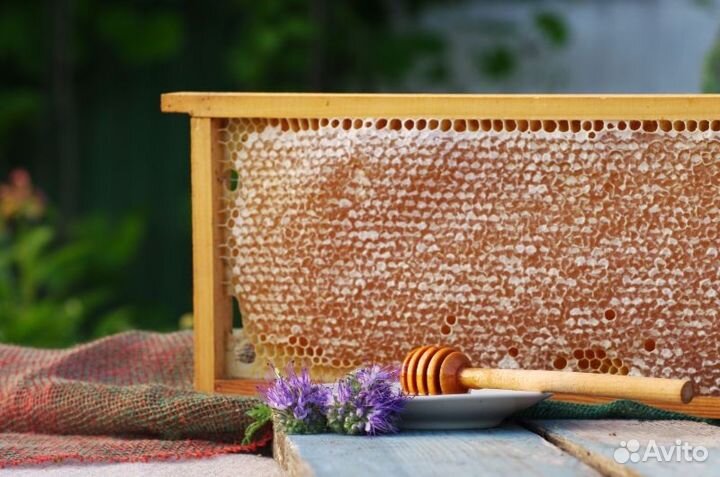 Рамки соты мед