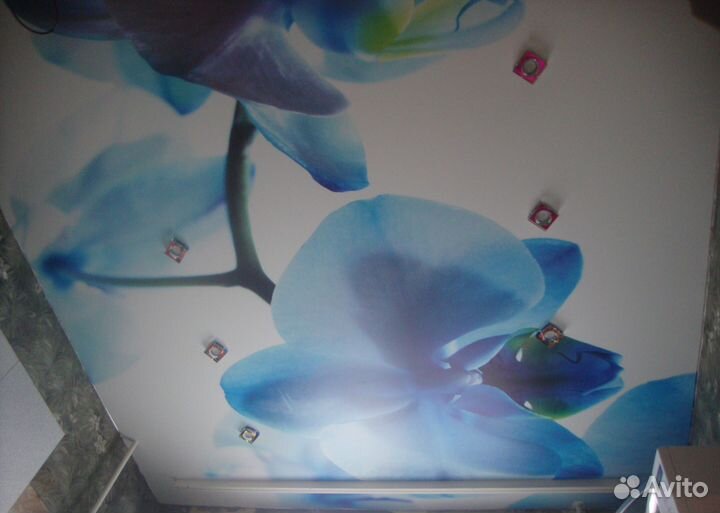 Натяжные потолки напрямую от бригады